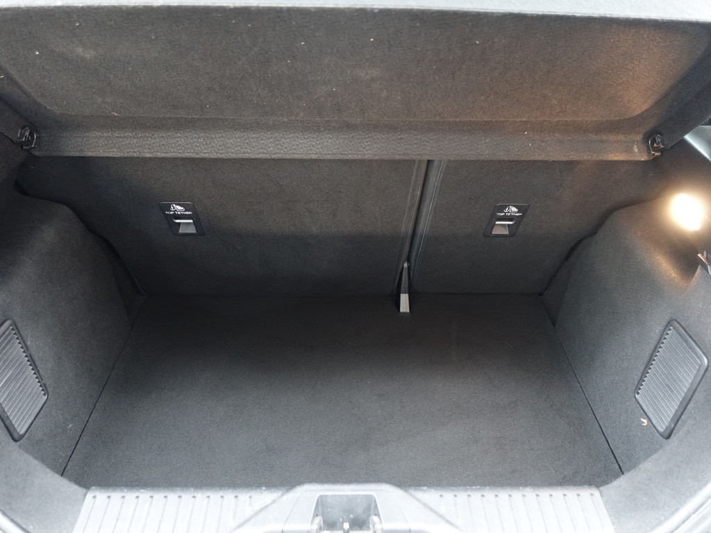 
Ford Fiesta 1.0 EcoBoost Hybrid ST Titanium- Carplay, Park Assist, Led, Sfeerverlichting, Dynamic Select, Lane Assist vol									