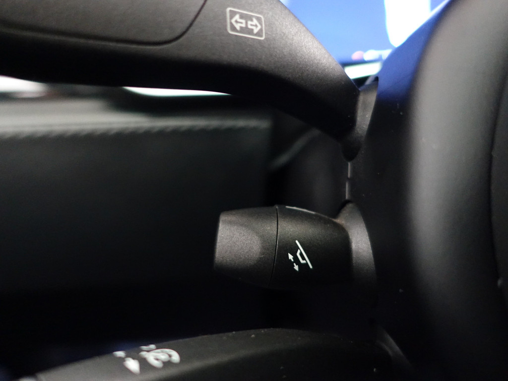 
Tesla Model X 90D Performance AWD- Auto Pilot, Premium Connectivity, Luchtvering, Comfort Leder vol									