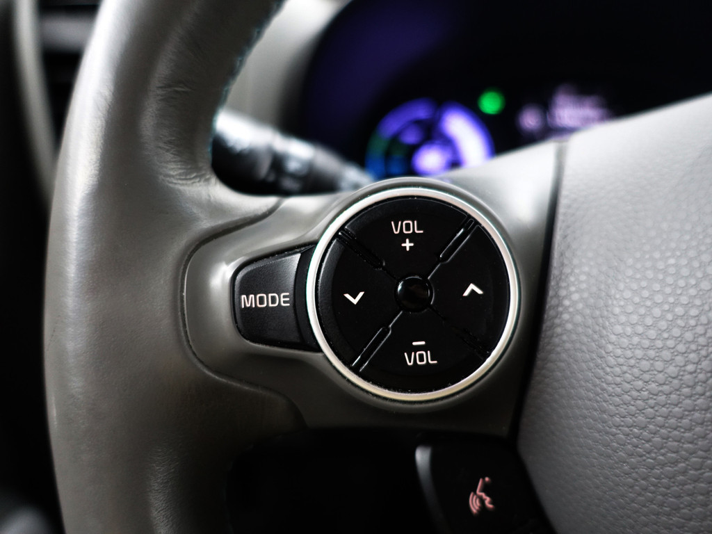 
								Kia Soul EV ExecutiveLine 27 kWh Aut- Two Tone, Camera, Stuur/Stoelverwarming, Keyless, Xenon Led, Dynamic Select vol									