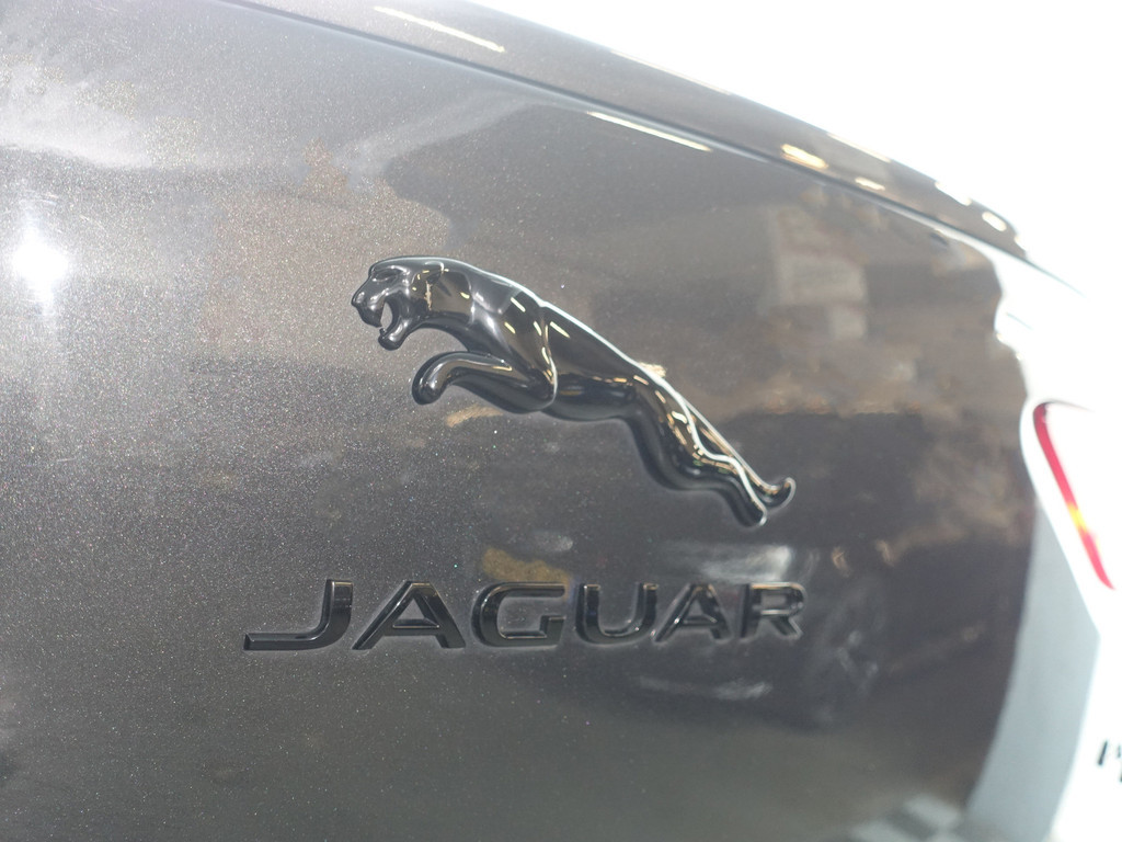 
								Jaguar I-PACE EV400 First Edition- Head Up, Memory, 360 Camera, Geventileerde Stoelen, Meridian, Alcantara Hemel, Panodak vol									