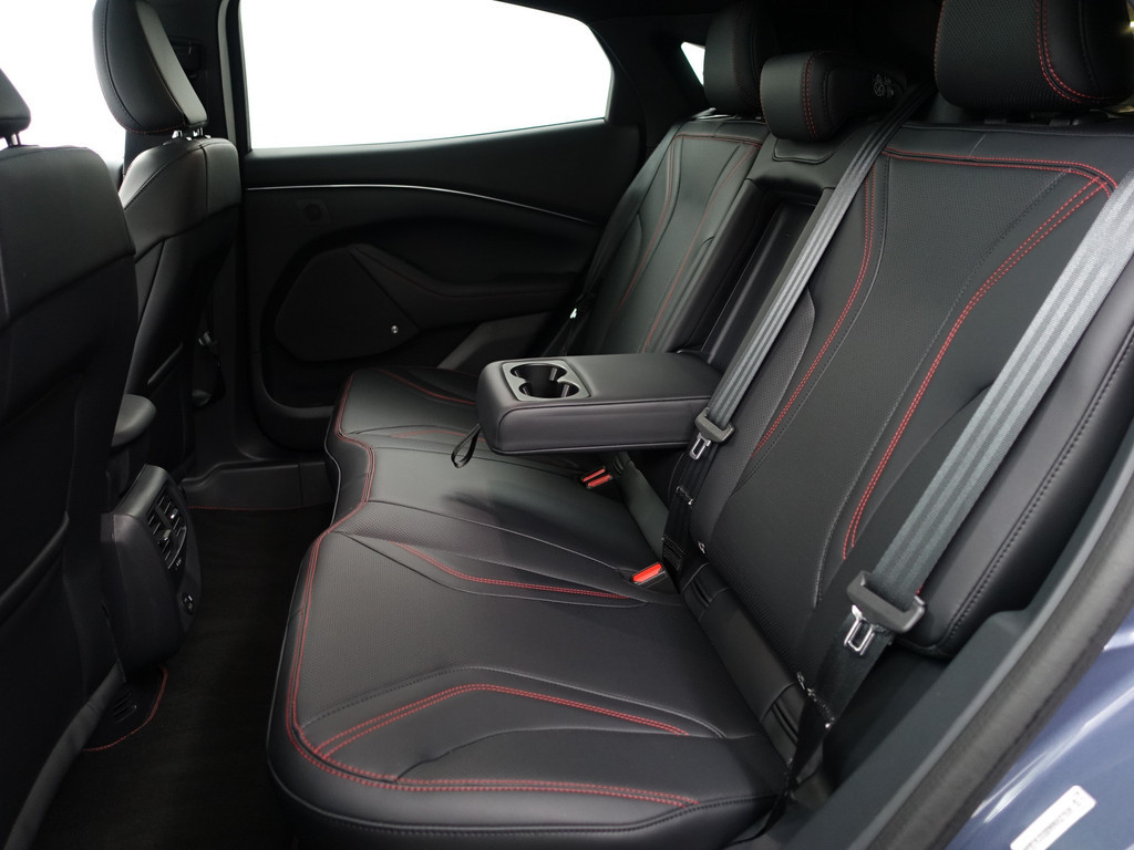 
								Ford Mustang Mach-E 75kWh AWD GT Sport Aut- Panoramadak, 360 Camera, Carbon, Stuur/Stoelverwarming, Bang Olufsen, Memory vol									