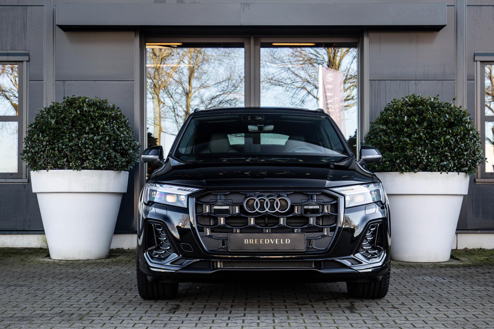 
Audi Q7 50 TDI quattro Pro Line Advanced 7p vol									