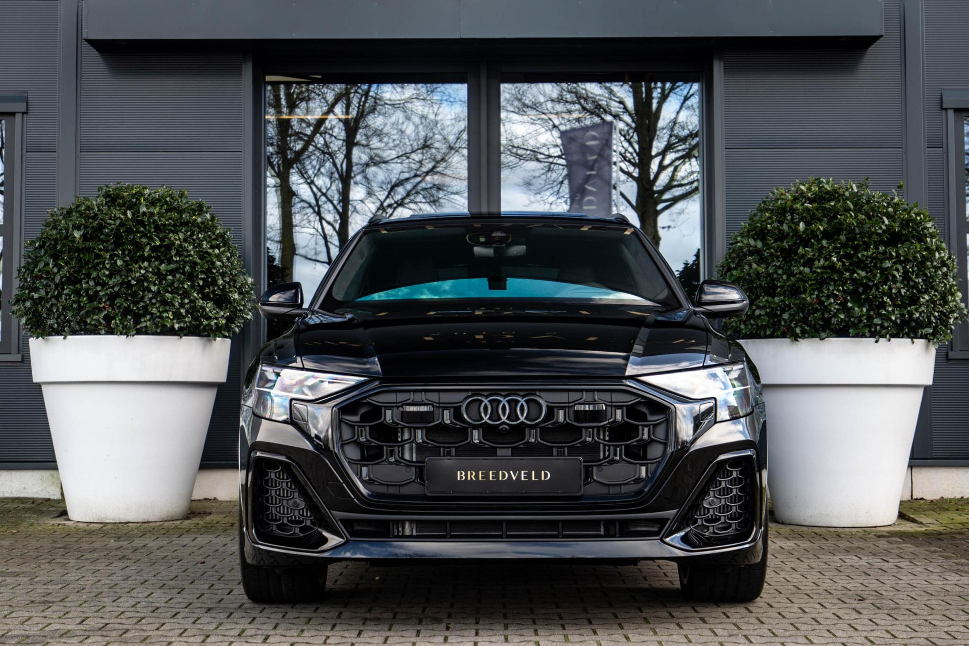 
Audi Q8 60 TFSI e vol									