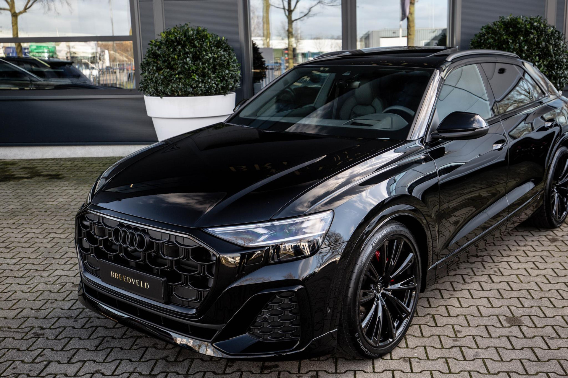 
								Audi Q8 50 TDI quattro Pro Line S vol									