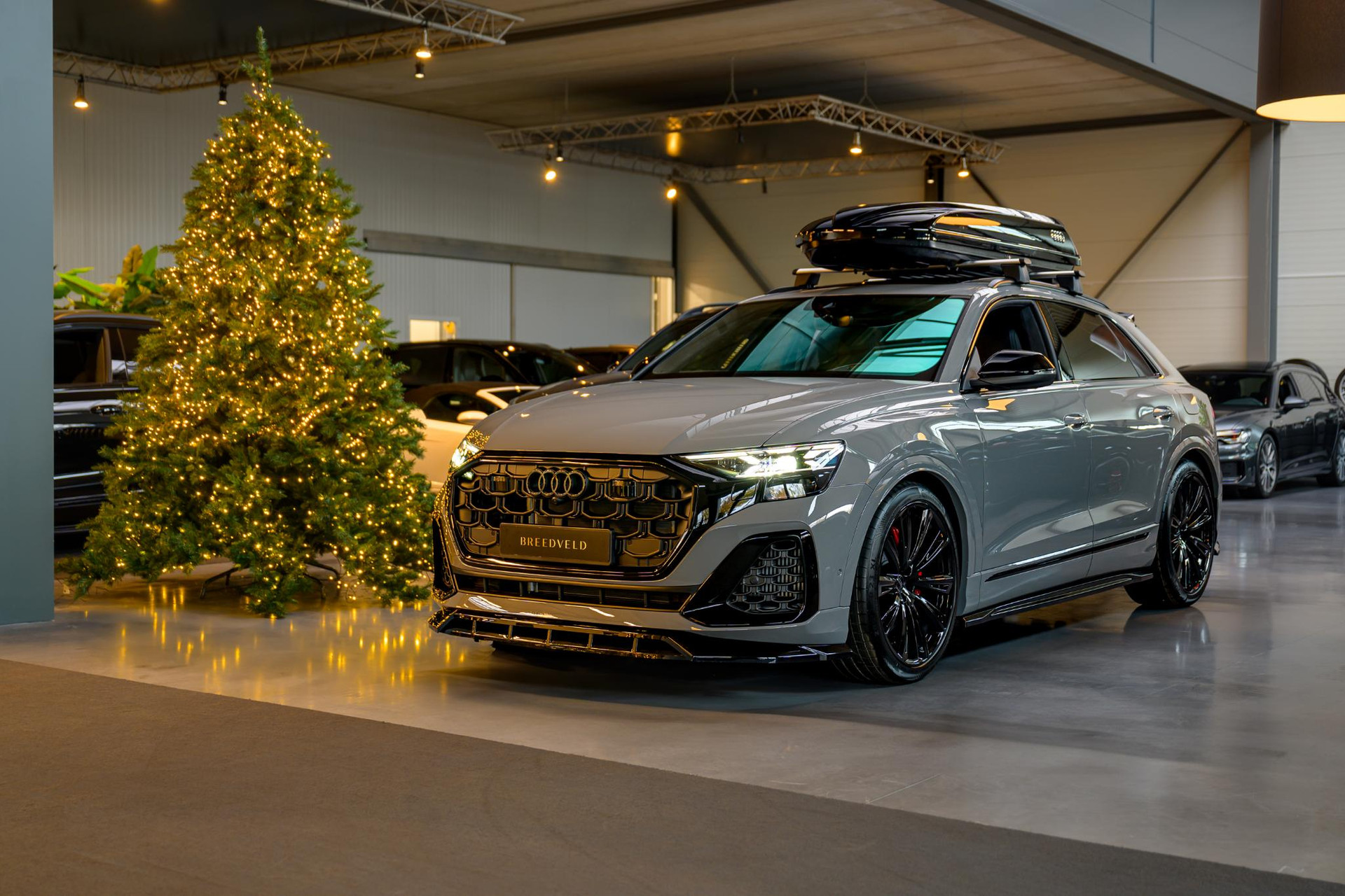
								Audi Q8 60 TFSI e vol									