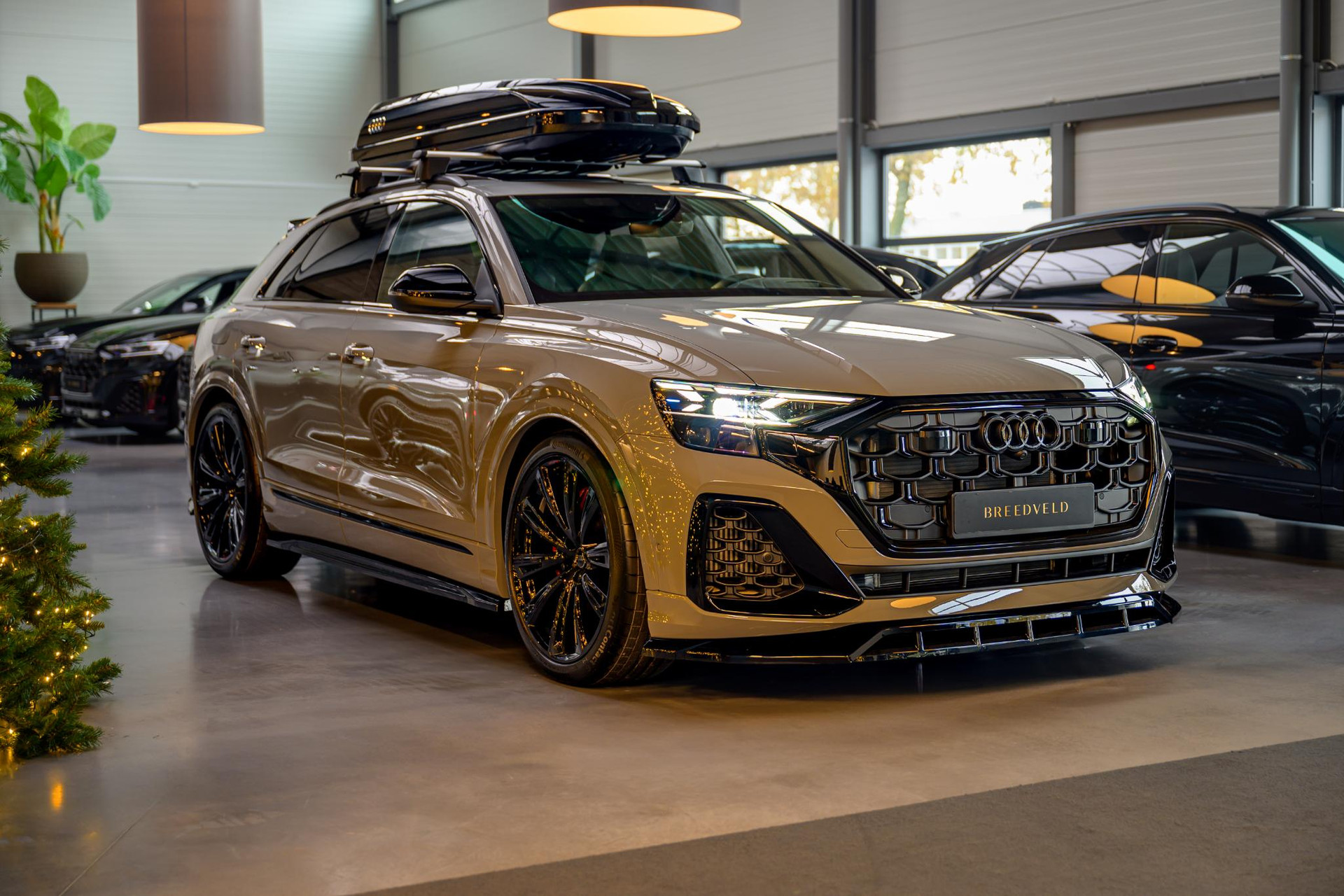 
								Audi Q8 60 TFSI e vol									