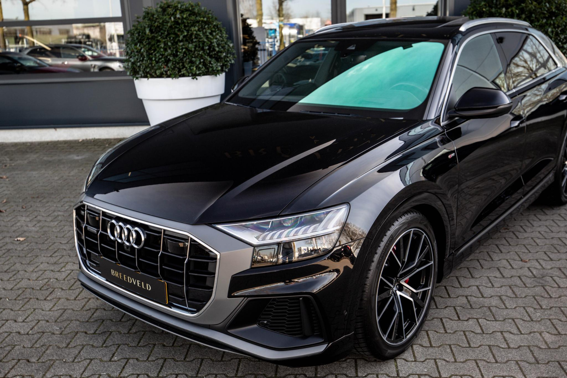 
Audi Q8 50 TDI quattro Pro Line S vol									
