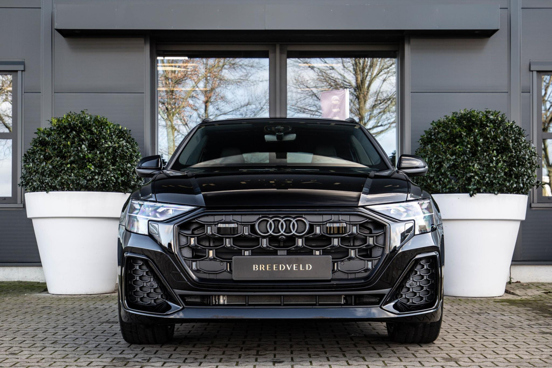 
								Audi Q8 50 TDI quattro Pro Line S vol									