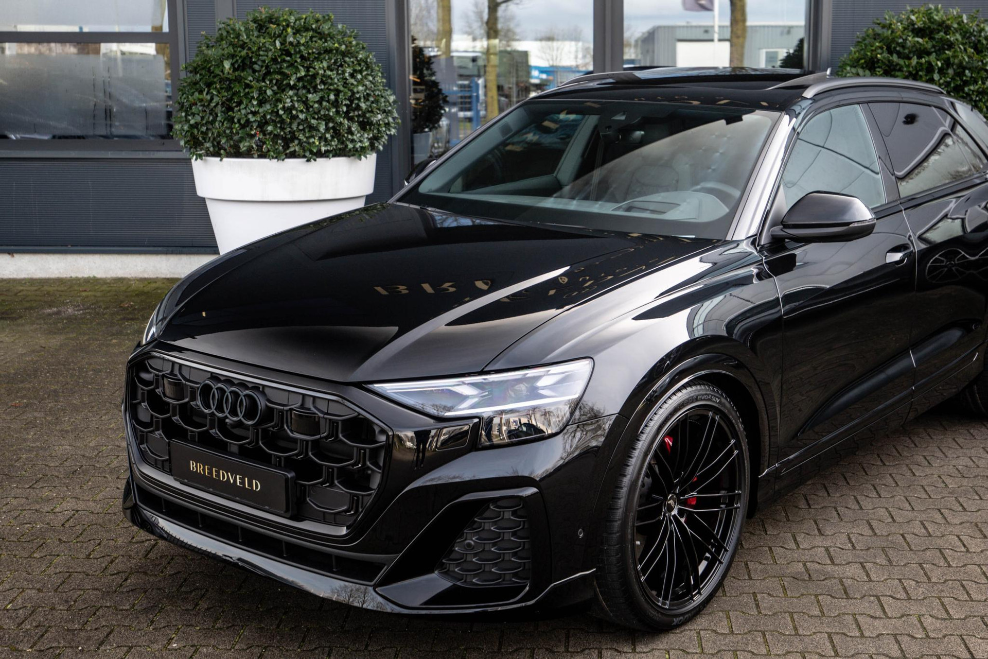 
Audi Q8 50 TDI quattro Pro Line S vol									