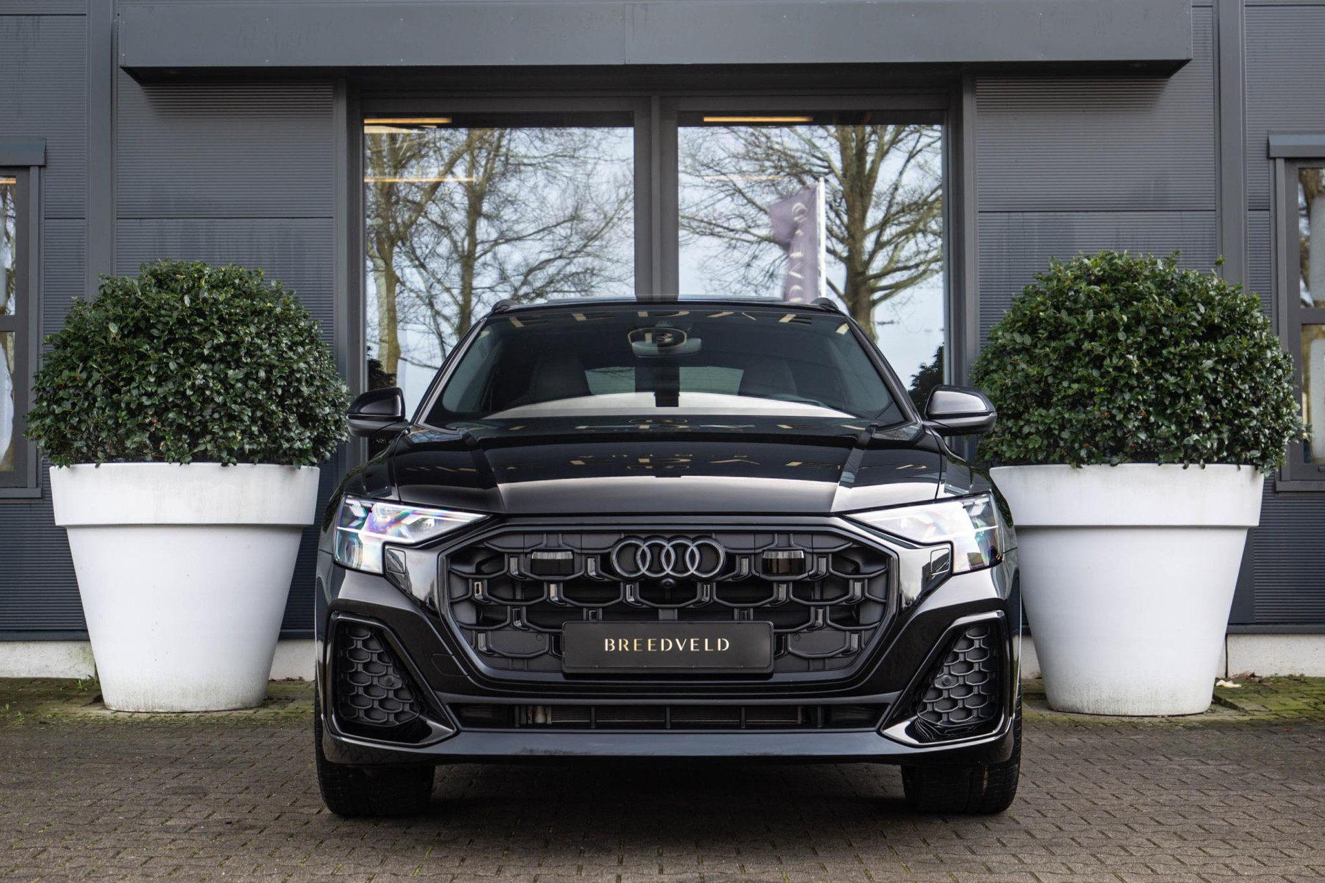 
Audi Q8 50 TDI quattro Pro Line S vol									