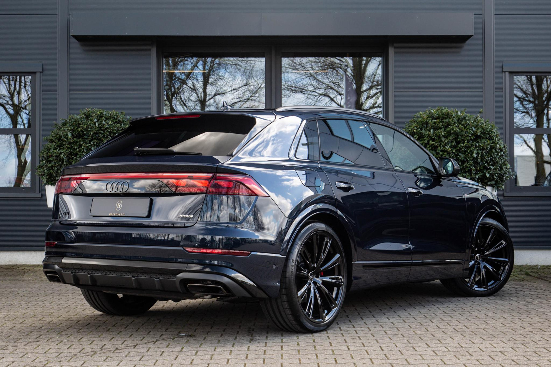 
Audi Q8 60 TFSI e vol									