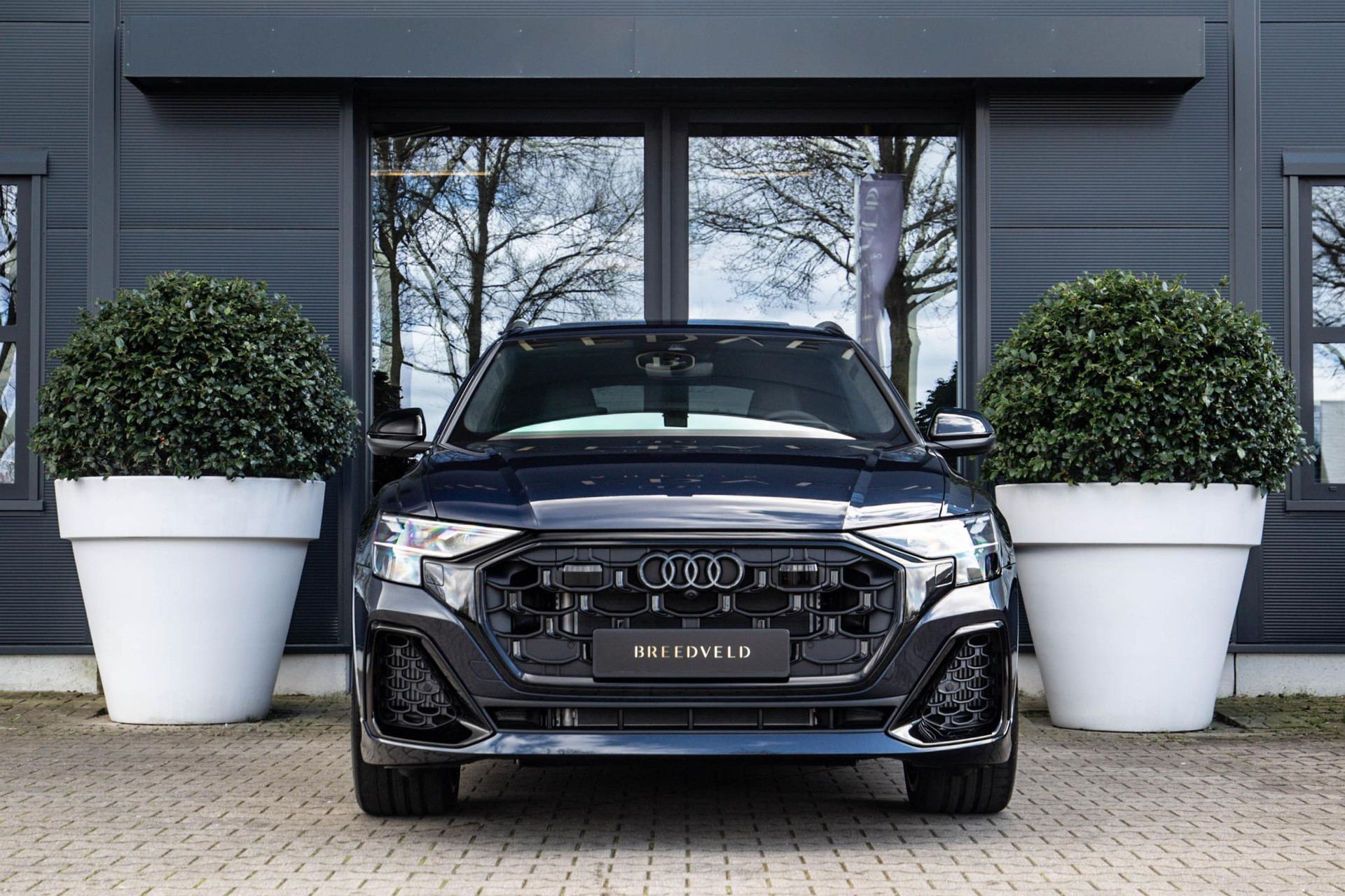
Audi Q8 60 TFSI e vol									