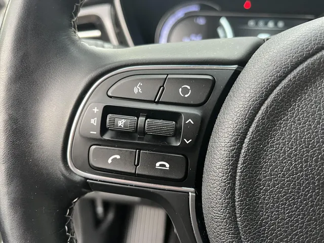 
								Kia e-Niro 64 kWh Elektrisch 204pk Aut ExecutiveLine 3-fase I Schuifdak I Alarm vol									