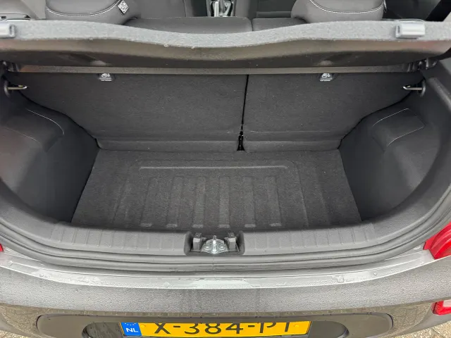 
Kia Picanto 1.0 DPi 67pk 4-zits DynamicLine | Trekhaak | Apple Carplay/Android Auto | Airco | Lichtmetalen Velgen | vol									